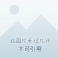 超级搜软件