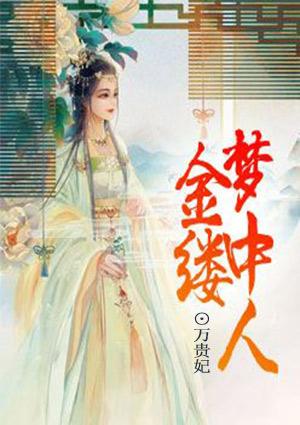金缕梦中人全文免费阅读无广告