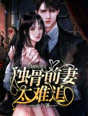 浅婚衍衍：蚀骨前妻太难追